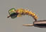 Glass Bead MidgeBefus Olive