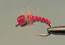Glass Bead MidgeBefus Red