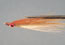 Clouser DP MinnowGold Shiner