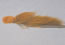 Wool-Head SculpinLawson Olive