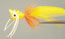 Popper w/ LegsOrange/Yellow