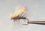 Elkhair CaddisBlack 