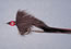Barry's Pike FlyBlack 