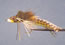 Umpqua Swim FrogWhite Belly