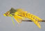 Umpqua Swim FrogYellow Belly