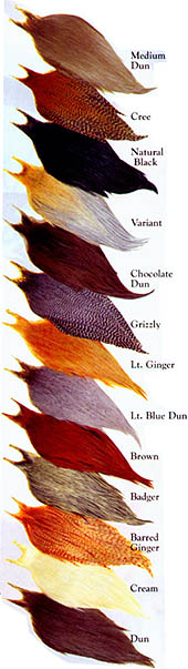 Metz Necks - Color Options