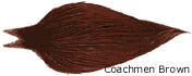 Coachman Brown