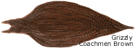 Grizzly Coachman Brown
