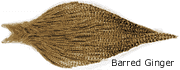 Barred Ginger