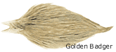 Golden Badger