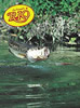 RIO Knotless Tapered - Bass Leader