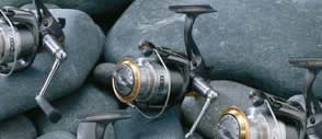 Avid Spinning Reels