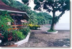 Golfito Salifish Rancho